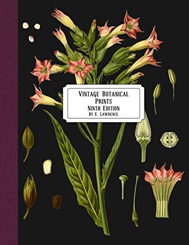 Vintage Botanical Prints: Ninth Edition von Independently published
