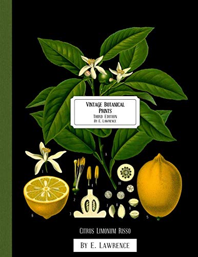 Vintage Botanical Prints: Third Edition von Independently published