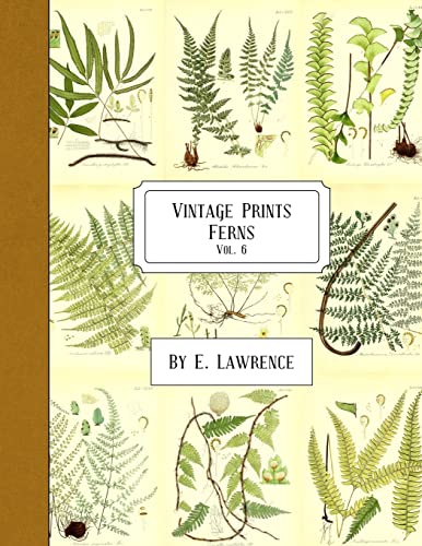 Vintage Prints: Ferns: Vol. 6