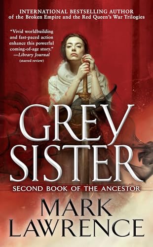 Grey Sister (Book of the Ancestor, Band 2)