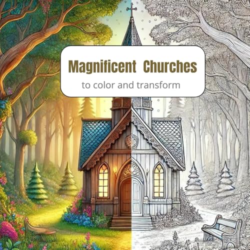 Magnificent Churches: To color and transform
