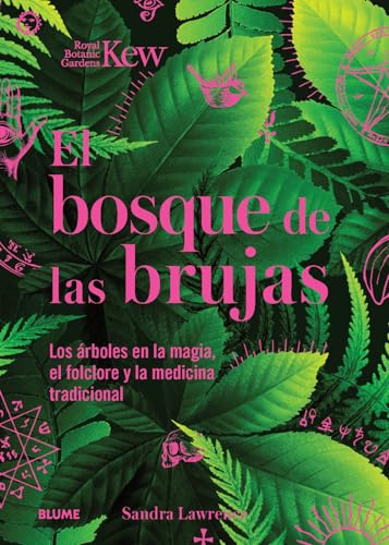 Bosque de las brujas: Los árboles en la magia, el folclore y la medicina tradicional von BLUME (Naturart)