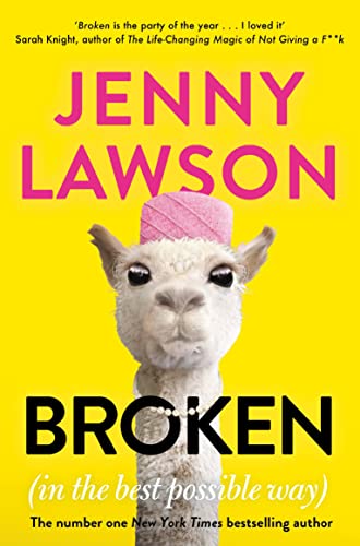 Broken: in the Best Possible Way von Picador