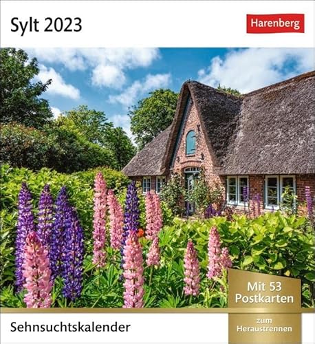 Sylt Sehnsuchtskalender 2023. Kleiner Kalender mit 53 Postkarten voll traumhafter Urlaubs-Fotos. Sylt für den Schreibtisch in einem Wochenkalender.: Wochenkalender mit 53 Postkarten