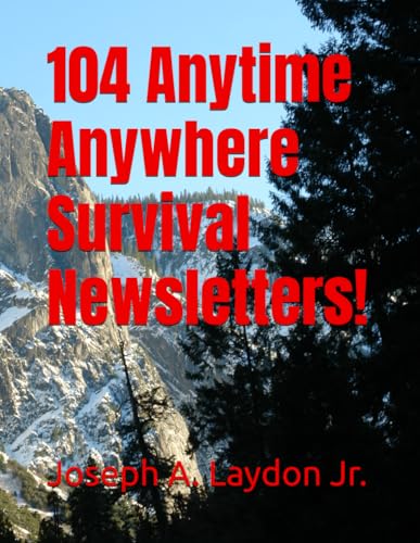 104 Anytime Anywhere Survival Newsletters! von Independently published