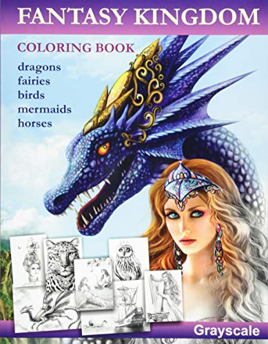 Fantasy Kingdom. Grayscale Adult coloring book von CreateSpace Independent Publishing Platform