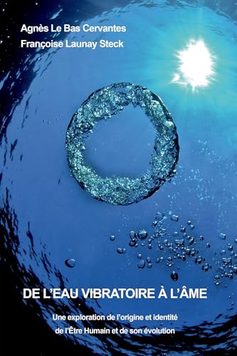 DE L'EAU VIBRATOIRE À L'ÂME: Une exploration de l'origine et identité de l'Etre Humain et de son évolution von BOOKELIS