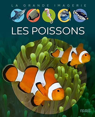 Les poissons von Fleurus