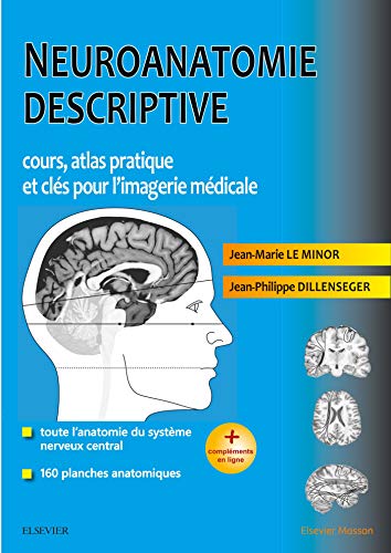 Neuroanatomie descriptive: Cours, atlas pratique et clés pour l'imagerie médicale