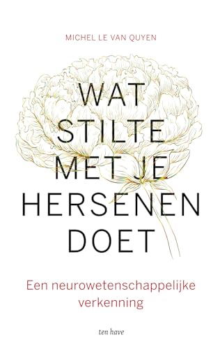 Wat stilte met je hersenen doet: een neurowetenschappelijke verkenning