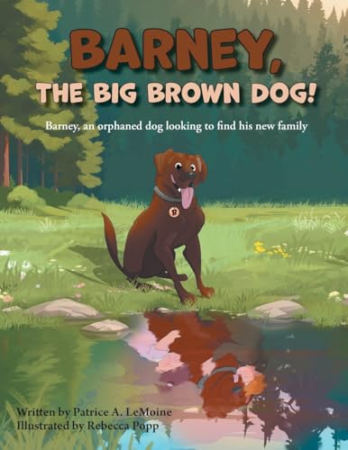 Barney, The Big Brown Dog!: Barney, an orphaned dog looking to find his new family von FriesenPress