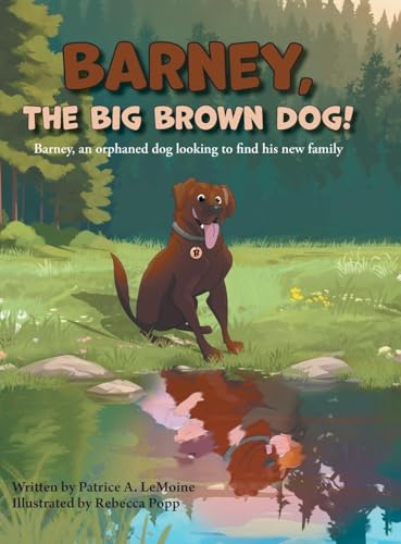 Barney, The Big Brown Dog!: Barney, an orphaned dog looking to find his new family von FriesenPress