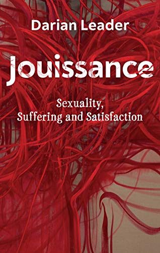 Jouissance: Sexuality, Suffering and Satisfaction von Polity Press