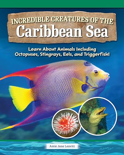 Incredible Creatures of the Caribbean Sea: Learn about Animals Including Octopuses, Stingrays, Eels, and Triggerfish! von Curious Fox Books