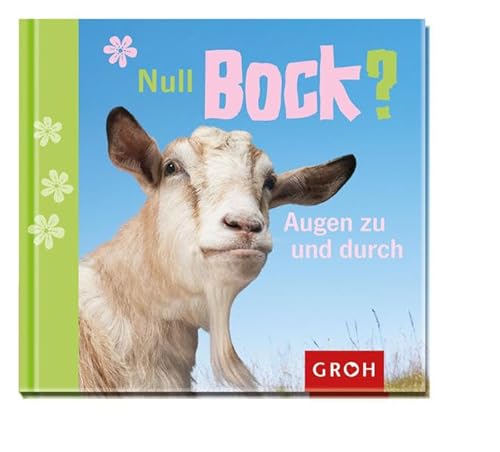 Null Bock? Augen zu und durch von Groh
