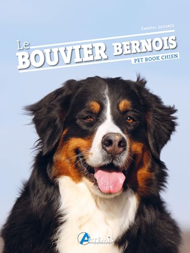 Le bouvier bernois von ARTEMIS