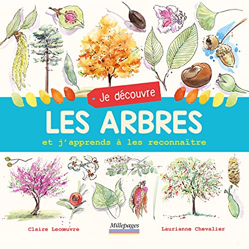 Je découvre les arbres: Et j'apprends à les reconnaître