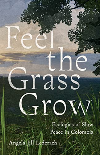 Feel the Grass Grow: Ecologies of Slow Peace in Colombia von Stanford University Press