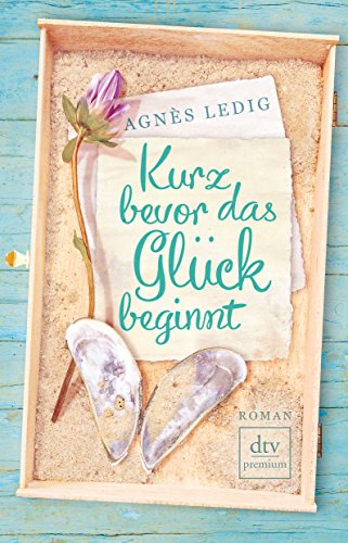 Kurz bevor das Glück beginnt: Roman