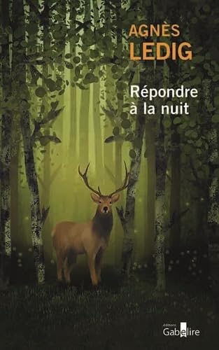 Répondre à la nuit Répondre à la nuit von GABELIRE