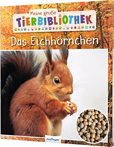 Meine große Tierbibliothek: Das Eichhörnchen: Sachbuch für Vorschule & Grundschule von Esslinger Verlag