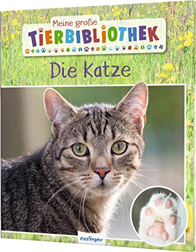 Meine große Tierbibliothek: Die Katze: Sachbuch für Vorschule & Grundschule