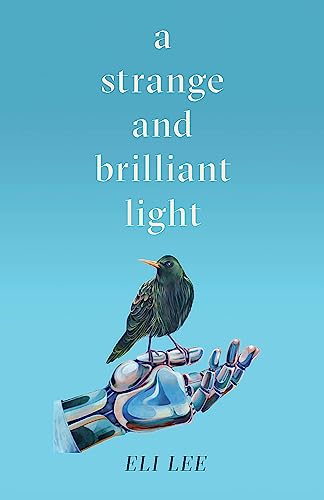A Strange and Brilliant Light: Winner of the Writers’ Guild Best First Novel Award von QUERCUS PUBLISHING