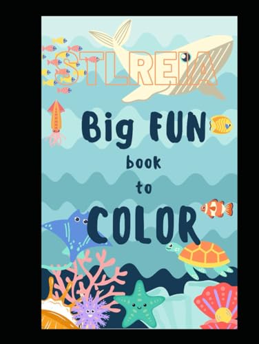 STLREIA Big FUN Book to Color: New Edition von Independently published