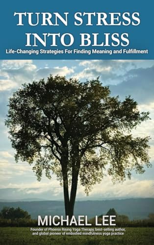 TURN STRESS INTO BLISS: Life-changing strategies for finding meaning and fulfillment von B&N Global Publishings