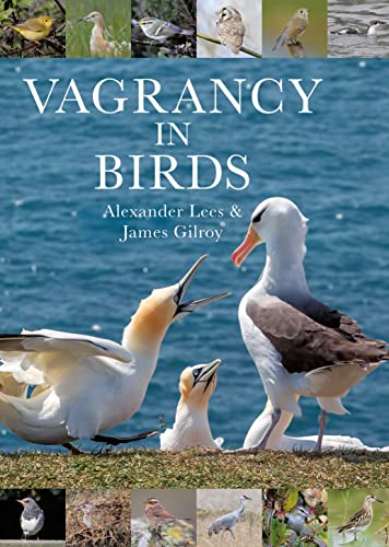 Vagrancy in Birds von By