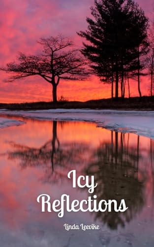 Icy Reflections von Swan Charm Publishing