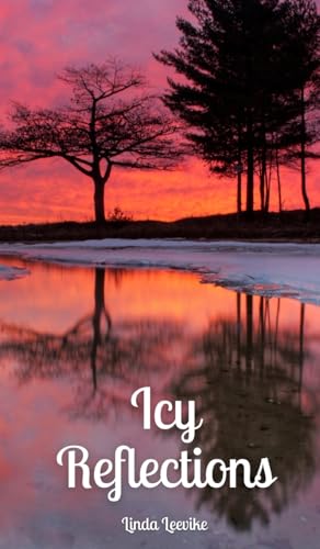 Icy Reflections von Swan Charm Publishing