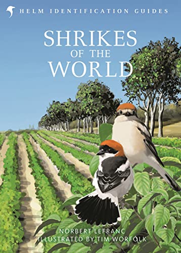 Shrikes of the World: BB/BTO BIRD BOOK OF THE YEAR 2023 (Helm Identification Guides) von Helm