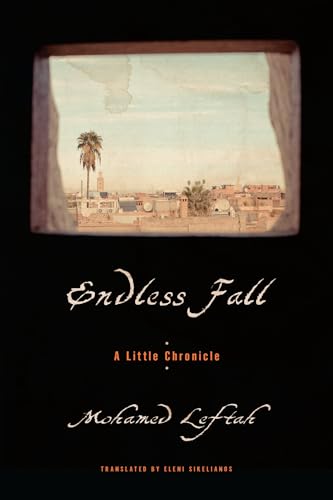 Endless Fall: A Little Chronicle von Other Press