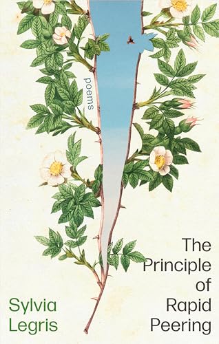 The Principle of Rapid Peering von Corsair