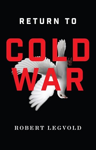 Return to Cold War von Polity