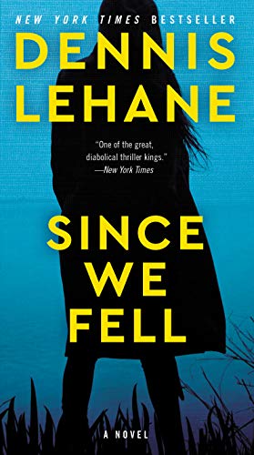 Since We Fell: A Novel