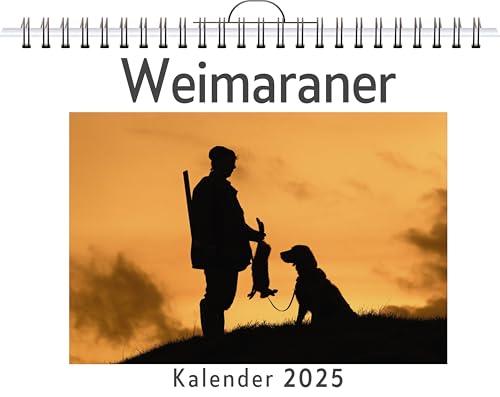 Weimaraner - (Wandkalender 2025, Kalender DIN A4 quer, Monatskalender im Querformat mit Kalendarium, das perfekte Geschenk) von FlipFlop