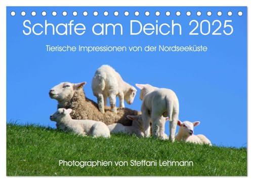 Schafe am Deich 2025. Tierische Impressionen von der Nordseeküste (Tischkalender 2025 DIN A5 quer), CALVENDO Monatskalender von CALVENDO