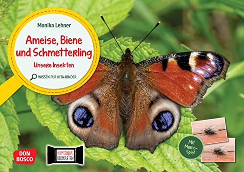 Ameise, Biene und Schmetterling. Unsere Insekten. Kamishibai Bildkarten und Memo-Spiel: Sachwissen spannend vermitteln mit dem Erzähltheater. Für Kita ... für unser Erzähltheater Kamishibai)