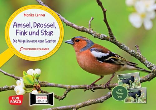 Amsel, Drossel, Fink und Star. Die Vögel in unserem Garten. Kamishibai Bildkarten und Memo-Spiel: Erzähltheater für Kita-Kinder mit Sachwissen zu ... für unser Erzähltheater Kamishibai) von Don Bosco