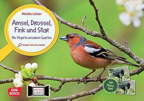 Amsel, Drossel, Fink und Star. Die Vögel in unserem Garten. Kamishibai Bildkarten und Memo-Spiel: Erzähltheater für Kita-Kinder mit Sachwissen zu ... für unser Erzähltheater Kamishibai)