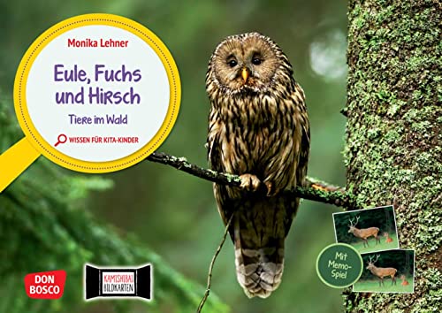 Eule, Fuchs und Hirsch. Tiere im Wald: Entdecken - Erzählen - Begreifen: Wissen für Kita-Kinder. Kamishibai-Bildkartenset mit Memo-Spiel, um gemeinsam ... für unser Erzähltheater Kamishibai) von Don Bosco