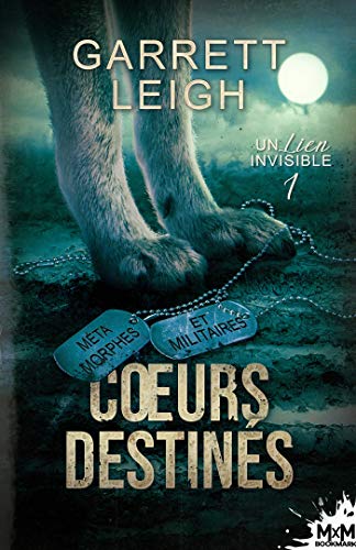 Coeurs destinés: Un lien invisible, T1