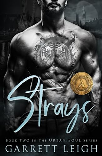 Strays: Angsty Gay Romance (Urban Soul, Band 2)