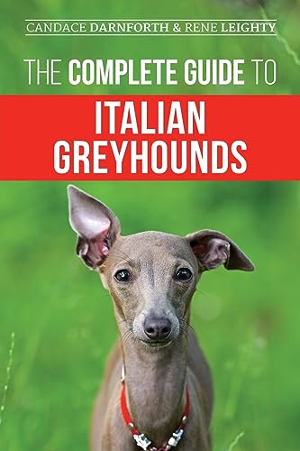 The Complete Guide to Italian Greyhounds: Training, Properly Exercising, Feeding, Socializing, Grooming, and Loving Your New Italian Greyhound Puppy The Complete Guide to Italian Greyhounds: Training, Properly Exercising, Feeding, Socializing, Grooming, and Loving Your New Italian Greyhound Puppy von LP Media Inc