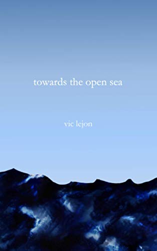 towards the open sea von Independently published
