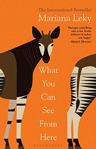 What You Can See From Here: 'A clear-eyed tonic in troubled times' (Guardian) von Bloomsbury