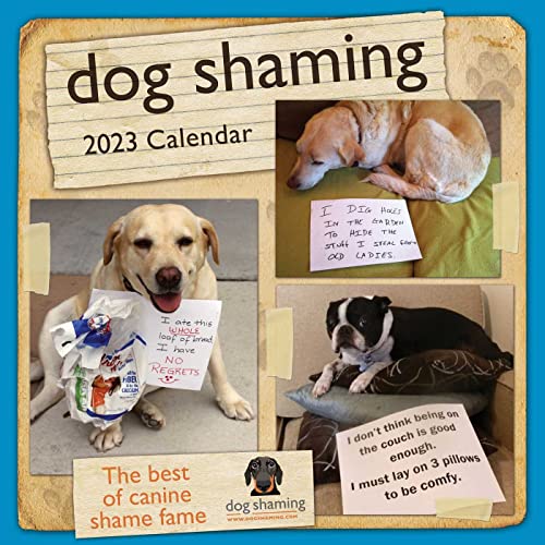 Dog Shaming 2023 Calendar