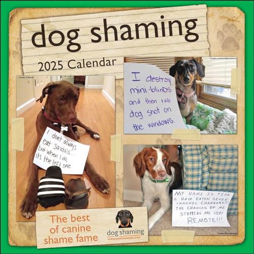 Dog Shaming 2025 Wall Calendar von Andrews McMeel Publishing